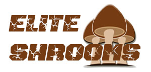 elite shroom logo