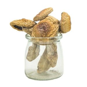 A+ Magic Mushrooms